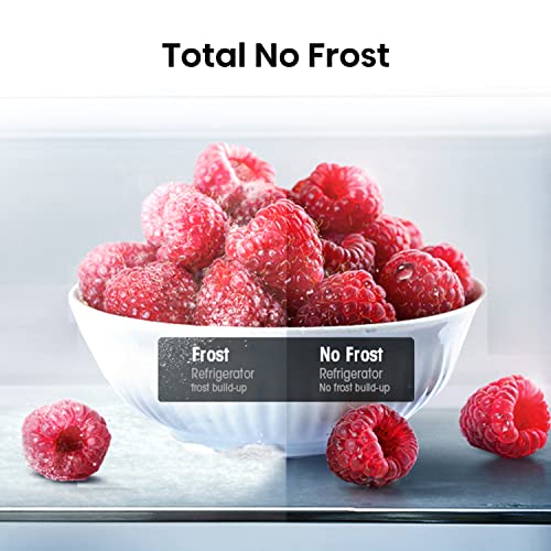 Hisense RB327N4WW1 55cm Freestanding 50/50 Fridge Freezer - 251 litre capacity - Total No Frost - Non-plumbed Water Dispenser - White - F Rated