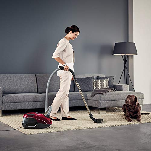 AEG VX6-2-RR, Bagged Cylinder, Raspberry Red