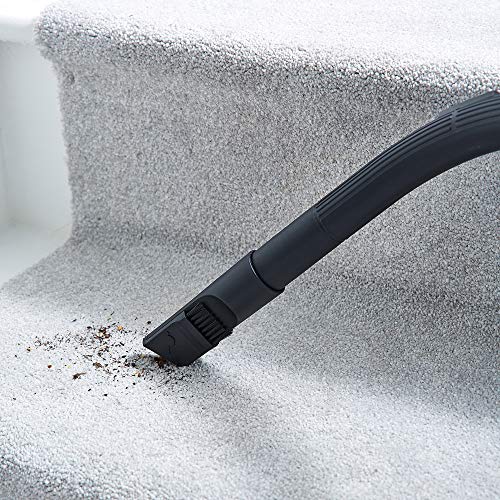 Tower TXP10PET Cylinder Vacuum Cleaner 700 W 2-in-1, Includes Turbo Pet Fur And Crevice Tool, HEPA Filter, Blue, 2 Litre Capacity