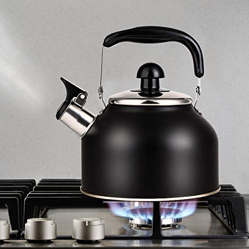 VINEKRAFT Stove Top Kettle, 2.7L Whistling Kettle, Stainless Steel Kettle Teapot for Gas Hobs, Induction and Electric Hobs (Black)