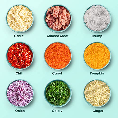 Cordless Rechargeable Electric Food Vegetable Chopper Cutter Mini 250ML,Onion Veg Chopper Garlic Press Crusher, Portable Small Food Processor for Nuts, Meat，White