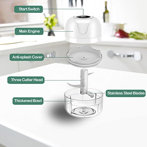FIOUSY Mini Food Chopper, 100ML+250ML, Wireless Portable Electric Garlic Chopper, USB Charging, Easy to Clean, Food Processor for Baby Food/Peppers/Onions/Garlic/Vegetable/Chili/Meat/Nuts(White)
