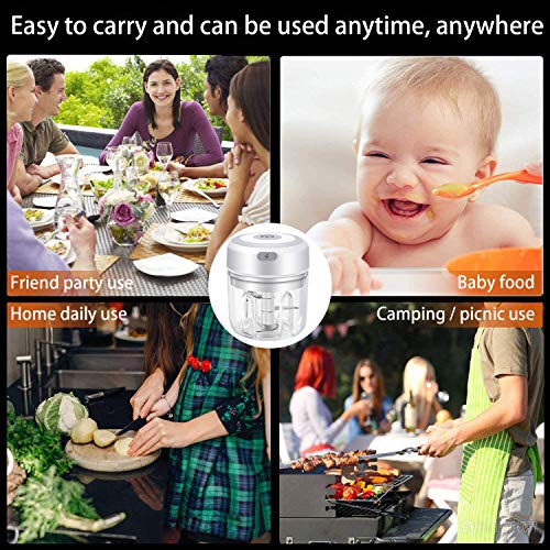 VOUM Mini Food Chopper Electric - Kitchen Food Processor and Blender, USB Charging Portable Vegetable Fruit Meat Garlic Onion Ginger Chopper with 3 Sharp Blades Grinder,Kitchen Gadget (white-250ml)