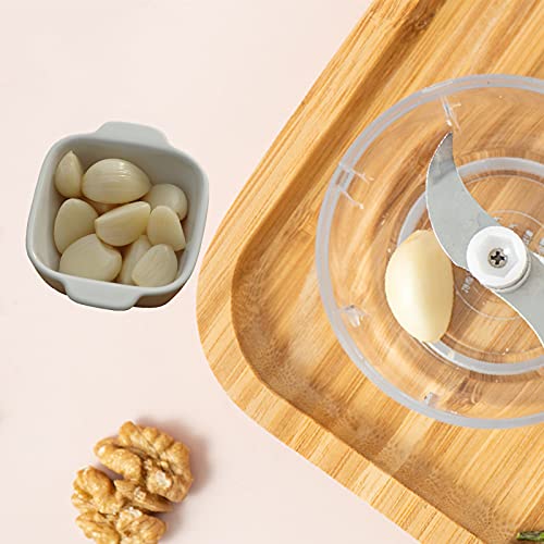 Joyeee Electric Mini Food Chopper,(250ML+100ML)Wireless Portable USB Charging Electric Garlic Chopper,Small Food Processor with Brush, for Onion, Peanut, Ginger, Chili,Meat