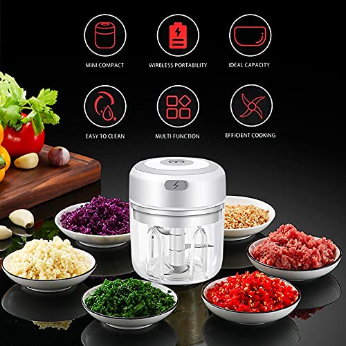 Electric Mini Garlic Chopper,Portable Mini Mincer Electric Food Processor, 250ml Mini Baby Food Maker Presses for Chili Onion Meat Spices Chopper Blender Machine