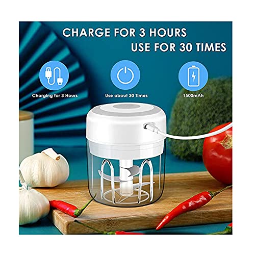 Electric Mini Garlic Chopper,Portable Mini Mincer Electric Food Processor, 250ml Mini Baby Food Maker Presses for Chili Onion Meat Spices Chopper Blender Machine