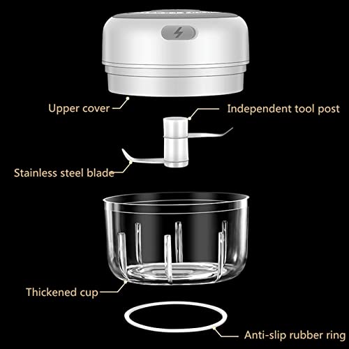 2ps Mini Food Chopper Electric Small Kitchen Food Processor Blender, Portable Vegetable, Fruit, Meat, Garlic, Onion, and Ginger Chopper, can be Used for Baby Food Salad USB Charging 250ML & 100ML