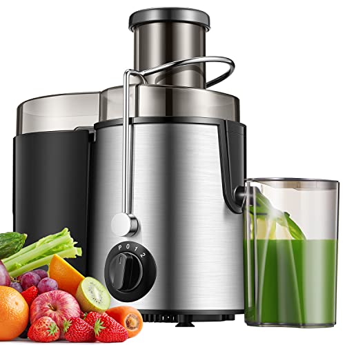 Juicer 400W Juicer Machines Vegetable and Fruit, 3 Speed Setting and Anti-drip Function, Stainless Steel Centrifugal Juicer, BPA Free