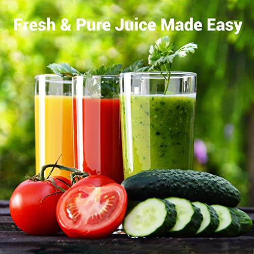 EASEHOLD 1000W Juicer Centrifugal, Professional Juice Maker Machine, Fruit Vegetable Extractor Whole,75MM Wide Feed Chute