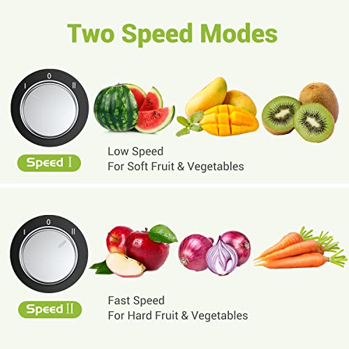 EASEHOLD 1000W Juicer Centrifugal, Professional Juice Maker Machine, Fruit Vegetable Extractor Whole,75MM Wide Feed Chute