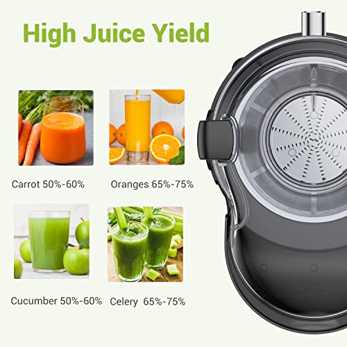EASEHOLD 1000W Juicer Centrifugal, Professional Juice Maker Machine, Fruit Vegetable Extractor Whole,75MM Wide Feed Chute