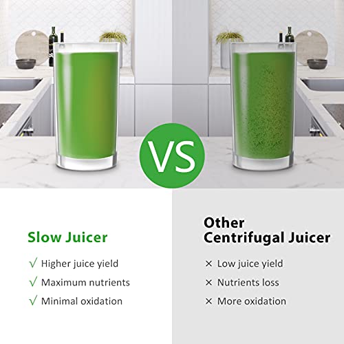 Slow Juicer Masticating Juicer Machine, Masticating Juicers for Vegetables and Fruit, Cold Press Juicer with Dual-Stage Quiet Motor & Reverse Function, Free Cup and Cleaning Brush