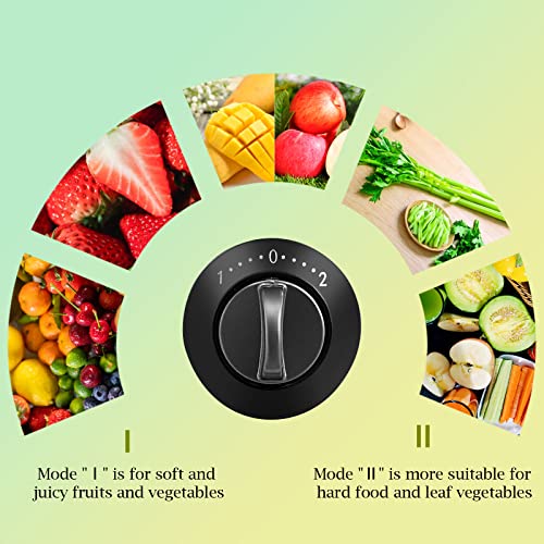 CLIPOP Juicer Machines Electric, Centrifugal Juicers Whole Fruit and Vegetable with Wide Mouth, Easy to Clean Dual Speed Mode Stainless Steel Juice Extractor with Overload Protective System 600W