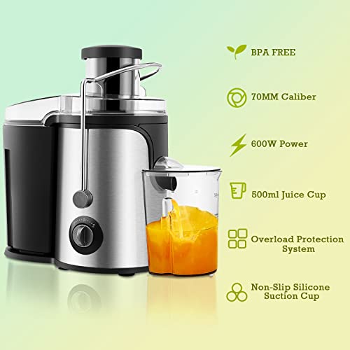 CLIPOP Juicer Machines Electric, Centrifugal Juicers Whole Fruit and Vegetable with Wide Mouth, Easy to Clean Dual Speed Mode Stainless Steel Juice Extractor with Overload Protective System 600W