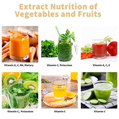 Slow Juicer Masticating Juicer Machine, Masticating Juicers for Vegetables and Fruit, Cold Press Juicer with Dual-Stage Quiet Motor & Reverse Function, Free Cup and Cleaning Brush