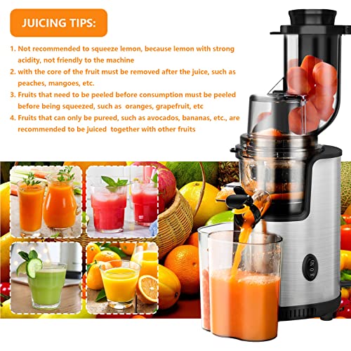 Masticating Juicer, Slow Juicer Extractor, Cold Press Juicer Machine with Wide Feeding Chute and Quiet Motor, BPA-Free Easy to Clean with Brush for Fresh Healthy Fruits and Vegetables Juice