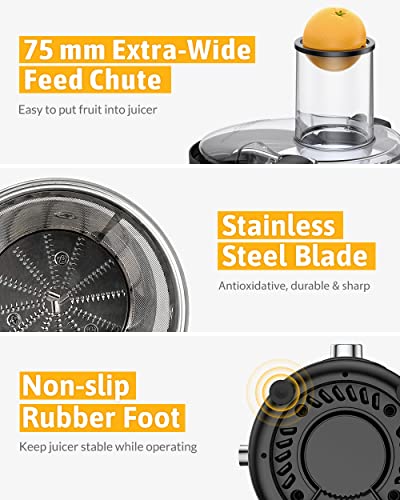 EASEHOLD 800W Juicer Machine Centrifugal Juice Extractor Whole Fruits And Vegetables, Easy to Clean,Stainless Steel with 2 Dual Speed