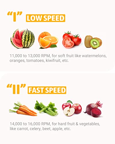 EASEHOLD 800W Juicer Machine Centrifugal Juice Extractor Whole Fruits And Vegetables, Easy to Clean,Stainless Steel with 2 Dual Speed