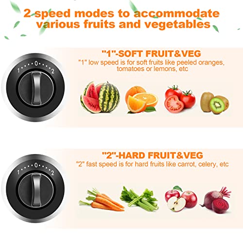 OFCASA Centrifugal Juicer, 600W Juicer Machine for Whole Fruit and Vegetables,70MM Wide Mouth Juicer Extractor 2 Speed Settings, Stainless Steel Juicer Maker Easy to Use & Clean, BPA-Free, Silver