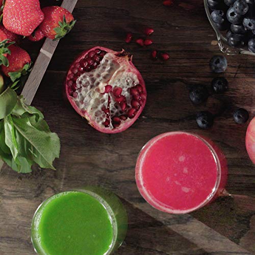 Sage SJE530BSS4GUK1 The Nutri Juicer Cold Plus, 1300 W, Brushed Stainless Steel