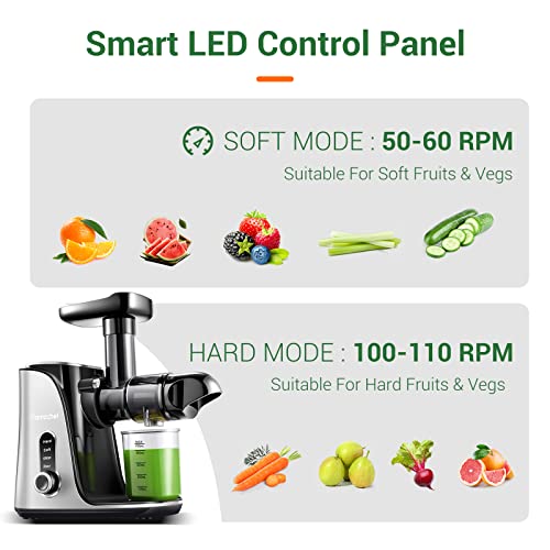 AMZCHEF Cold Press Juicer with 2 Speed Control - High Juice Yield Juicer Machines with Ultradense Filter - Masticating Slow Juicer for Whole Fruit and Vegetable - 1 Bottle and 2 Cups - Silver