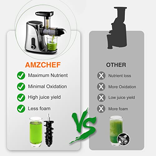 AMZCHEF Cold Press Juicer with 2 Speed Control - High Juice Yield Juicer Machines with Ultradense Filter - Masticating Slow Juicer for Whole Fruit and Vegetable - 1 Bottle and 2 Cups - Silver