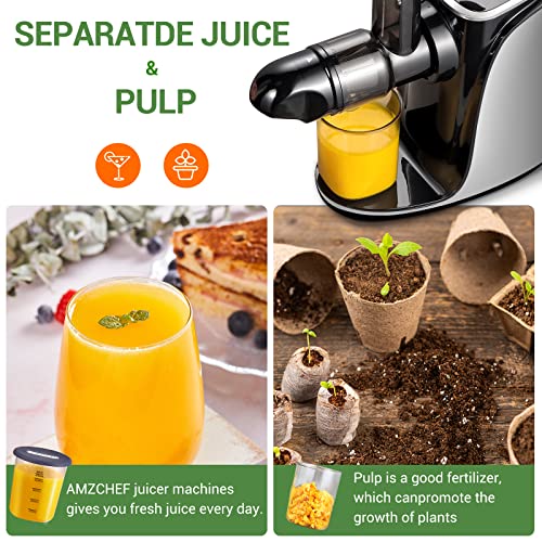 AMZCHEF Cold Press Juicer with 2 Speed Control - High Juice Yield Juicer Machines with Ultradense Filter - Masticating Slow Juicer for Whole Fruit and Vegetable - 1 Bottle and 2 Cups - Silver