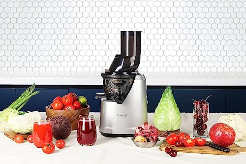 Kuvings B1700 Whole Slow Juicer (Silver)
