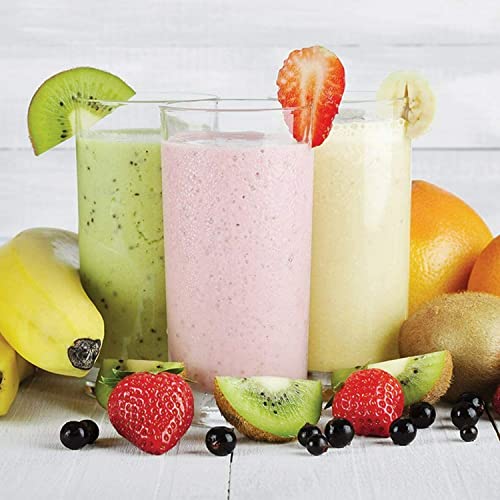 Quest Nutri-Q 34790 Blender & Grinder / 1.5L Blender Jug / 2 Speed Settings / Dishwasher Safe Parts / Safety Locking System / Makes Healthy Smoothies & Shakes / BPA Free / 500W