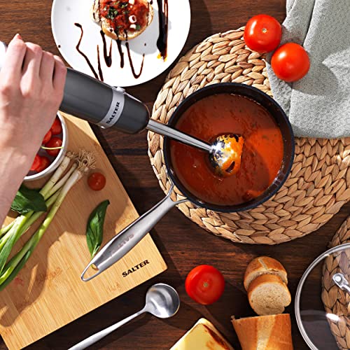 Salter EK2827GUNMETAL Cosmos 3 in 1 Hand Blender and Mixer Set, Electric Whisk and Mini Chopper Attachments, 350 W, Stainless Steel Blades, Chopping Bowl - Blend Smoothies, Baby Food, Soups, 500 ml