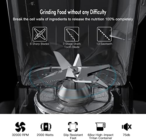 Blender Smoothie Maker, Jug Blenders 2000W, Smoothie Blender with 10 Speed Control, with 2L BPA-free Tritan Container and 8 Stainless Steel Blades, Professional Food Processor and Blender for Kitchen