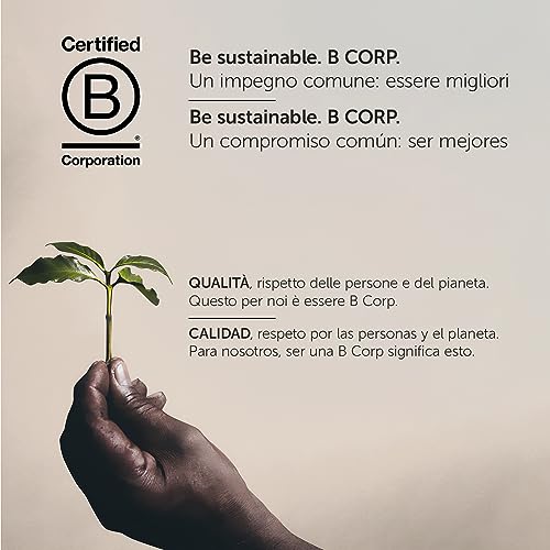 illy Coffee, Classico Ground Coffee, Medium Roast, Made From 100% Arabica Coffee Beans, 250g