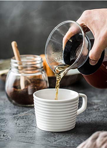 YunNasi Pour Over Coffee Maker Glass Hand Drip Coffee Brewer Set with Permanent Filter (400ml)