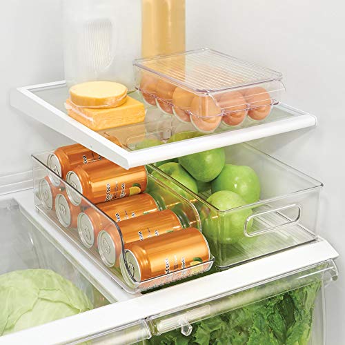iDesign 73030 Fridge/Freeze Binz Egg Holder, Small Storage Box for Twelve Eggs, Made from BPA-Free Plastic, Clear