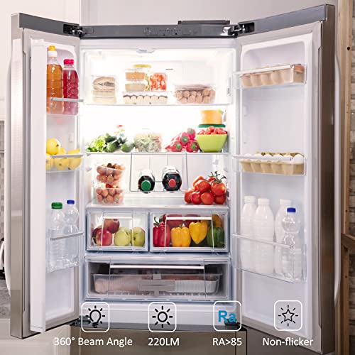 E14 LED Candle Bulbs 2W Replacement 20W Halogen Bulbs for Refrigerator, Cool White 6000K Freeze Cooker Range Hood E14 SES Small Edison LED Light Bulbs, No Flicker, Not Dimmable, Pack of 2