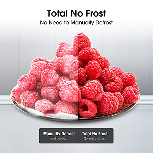 Hisense RB327N4WC1 55cm Freestanding 50/50 Fridge Freezer - 251 litre capacity - Total No Frost - Non-plumbed Water Dispenser - Silver - F Rated