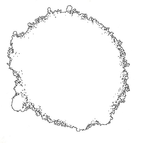 Rust-Oleum AE0090001E8 400ml Appliance Enamel White