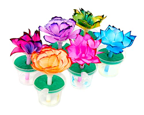 Crayola Science Kit: Color Changing Paper Flowers