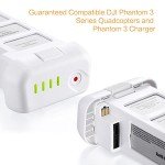 LORDONE Phantom 3 Battery, 15.2V 4480mAh Intelligent Flight Battery for DJI Phantom 3 Standard, DJI Phantom 3 Pro, DJI Phantom 3 Advanced, DJI Phantom 3 4K, DJI Phantom 3 SE Drone
