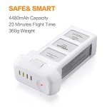 LORDONE Phantom 3 Battery, 15.2V 4480mAh Intelligent Flight Battery for DJI Phantom 3 Standard, DJI Phantom 3 Pro, DJI Phantom 3 Advanced, DJI Phantom 3 4K, DJI Phantom 3 SE Drone
