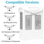 Homesuit Phantom 4 Battery, 15.2V 5870mAh Intelligent Flight Replacement Battery Pack Compatible with DJI Phantom 4 Pro Series Drone