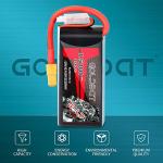 GOLDBAT 4S 1500mAh 100C 14.8V LiPo Battery Pack with XT60 Plug for Heli Airplane Drone FPV Racing (2 Packs)