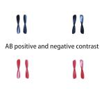 Mini Propeller Blades, 20 Propeller Props Suitable for Remote-Controlled Aircraft Quadcopter, The Propeller of UAV is 1.81 in Long and The Axial Aperture is 0.03 in.Propeller Parts