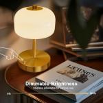 Oneach 9" Cordless Table Lamp, Gold Rechargeable Battery Operated Lamp, 3-Way Stepless Dimming Touch Lamps, Small Glass Bedside Nightstand Light for Bedroom Dining Table Living Room Shelf Decor