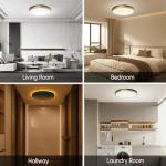 Lightania 13 Inch Flush Mount Ceiling Light with Remote Control & Night Light, 5CCT Dimmable Ceiling Light Fixture, 25W 2500LM 2700K-6500K Adjustable LED Ceiling Lights for Bedroom Kitchen Living Room