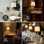 ONEWISH Cordless Table Lamps Set of 2 - Battery Powered Lamp, 4000mAh Rechargeable, Stepless Dimmable, Wireless Lamp with Fabric Shade, 2700K Warm Ambient Light for Dining, Patio, Bathroom(Gold)