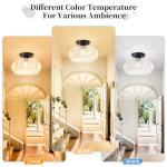 OYKYOHEI Semi Flush Mount Ceiling Light, Upgraded Larger Black Glass Ceiling Light Fixture, Vintage Lighting for Hallway Kitchen Bedroom Dining Room, Bulb Not Included