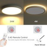 Roomratv Flush Mount Ceiling Light Fixture with Remote Control, Nightlight Warm 3000K, Hardwired 12inch 28W Round, 3000K-6500K Light Color Changeable, Brightness Adjustable