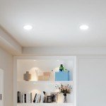 Amico 12 Pack 4 Inch 5CCT Ultra-Thin LED Recessed Dimmable Can/Ceiling Light with Junction Box, 2700K/3000K/3500K/4000K/5000K Selectable, 11W Eqv 70W, 800LM High Brightness Wafer Downlight - ETL&FCC