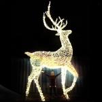 Illumination 3D Metal Landscape IP65 Christmas Decoration Large Outdoor Giant Light Emitting Diode Reindeer Pattern Light